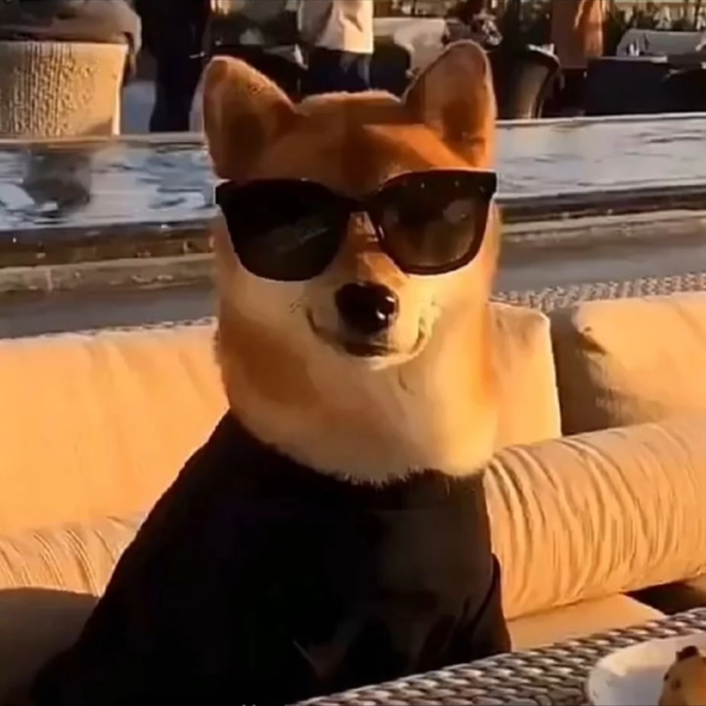 this is demo
